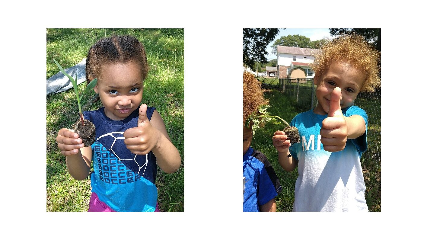 Kids gardening is fun and easy with peat pellets!